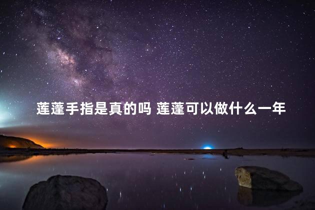 莲蓬手指是真的吗 莲蓬可以做什么一年级